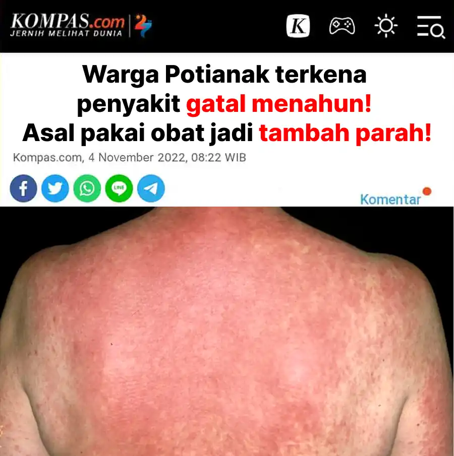 berita-3-1.webp